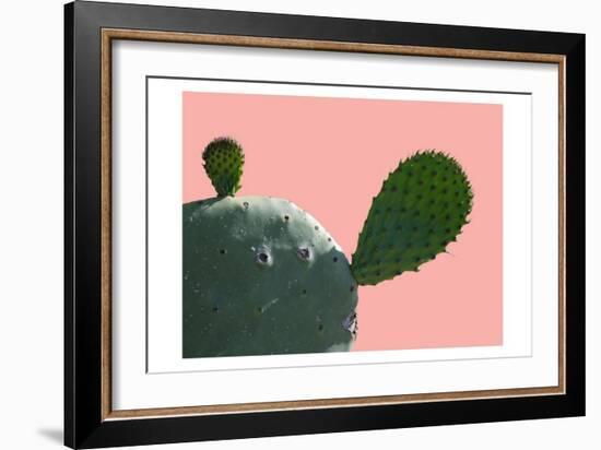 Cactus Slice 1-Sheldon Lewis-Framed Art Print
