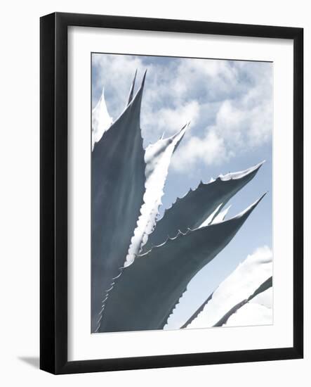 Cactus Sonoma-Malcolm Sanders-Framed Giclee Print