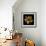 Cactus Star-Robert Cattan-Framed Photographic Print displayed on a wall