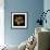 Cactus Star-Robert Cattan-Framed Photographic Print displayed on a wall