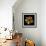 Cactus Star-Robert Cattan-Framed Photographic Print displayed on a wall