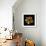 Cactus Star-Robert Cattan-Framed Photographic Print displayed on a wall