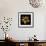 Cactus Star-Robert Cattan-Framed Photographic Print displayed on a wall