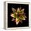 Cactus Star-Robert Cattan-Framed Premier Image Canvas