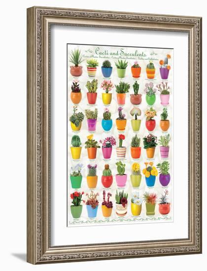 Cactus & Succulents-null-Framed Premium Giclee Print