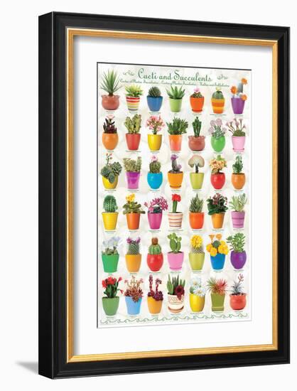 Cactus & Succulents-null-Framed Premium Giclee Print