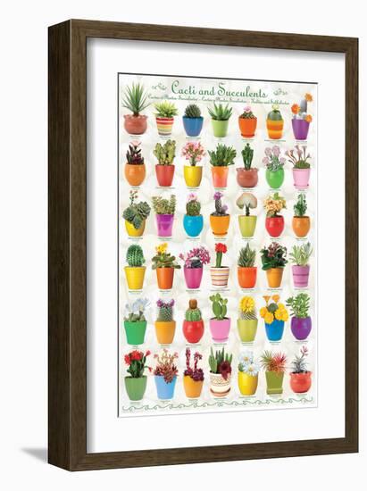 Cactus & Succulents-null-Framed Premium Giclee Print