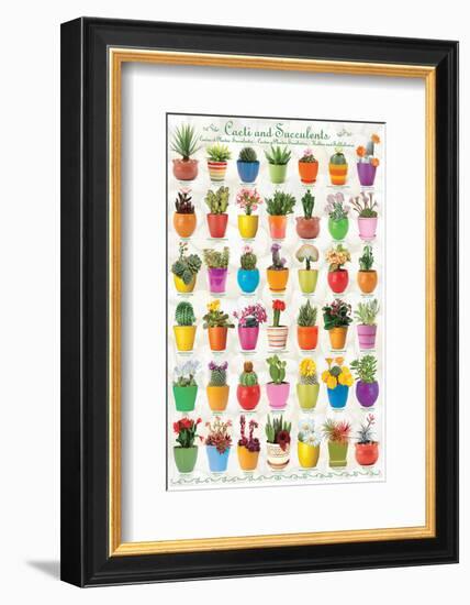 Cactus & Succulents-null-Framed Art Print