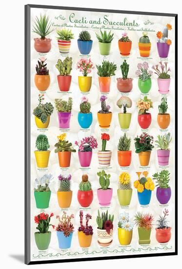 Cactus & Succulents-null-Mounted Art Print