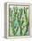 Cactus Vines-Bee Sturgis-Framed Stretched Canvas