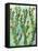 Cactus Vines-Bee Sturgis-Framed Stretched Canvas