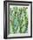 Cactus Vines-Bee Sturgis-Framed Art Print