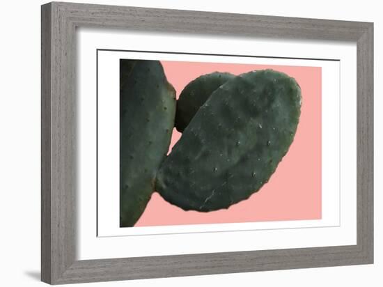 Cactus Wall-Sheldon Lewis-Framed Premium Giclee Print