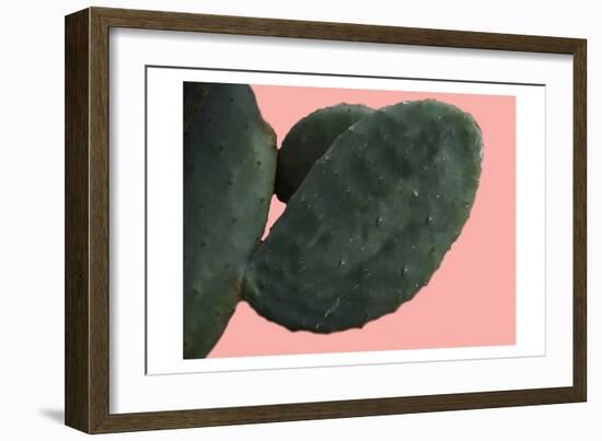 Cactus Wall-Sheldon Lewis-Framed Premium Giclee Print