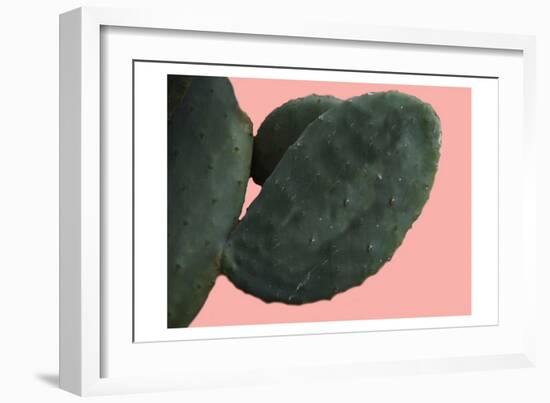 Cactus Wall-Sheldon Lewis-Framed Premium Giclee Print