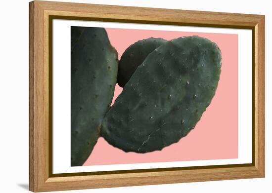 Cactus Wall-Sheldon Lewis-Framed Stretched Canvas