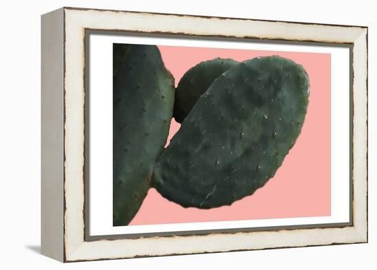 Cactus Wall-Sheldon Lewis-Framed Stretched Canvas