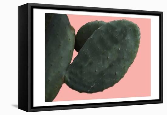 Cactus Wall-Sheldon Lewis-Framed Stretched Canvas