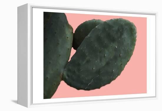 Cactus Wall-Sheldon Lewis-Framed Stretched Canvas