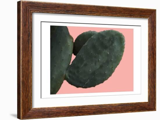 Cactus Wall-Sheldon Lewis-Framed Art Print