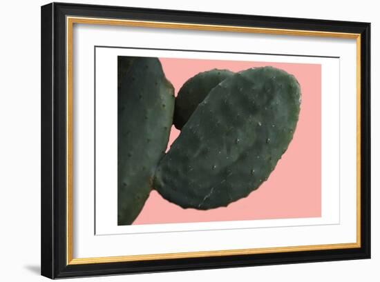 Cactus Wall-Sheldon Lewis-Framed Art Print