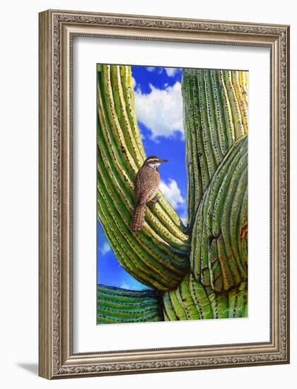 Cactus Wren-Chris Vest-Framed Art Print