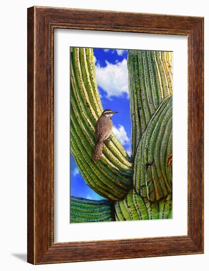 Cactus Wren-Chris Vest-Framed Art Print