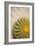 Cactus-Karyn Millet-Framed Photographic Print