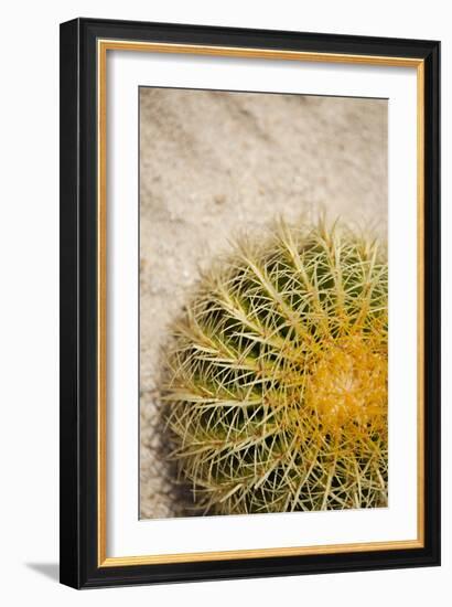 Cactus-Karyn Millet-Framed Photographic Print