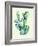 Cactus-Heaven on 3rd-Framed Art Print