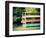 Caddo Canoes 1-Sonja Quintero-Framed Photographic Print