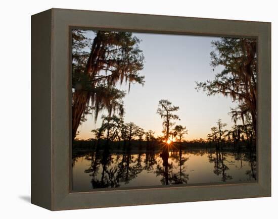 Caddo Lake at Sunrise, Marion Co., Texas, Usa-Larry Ditto-Framed Premier Image Canvas