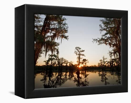 Caddo Lake at Sunrise, Marion Co., Texas, Usa-Larry Ditto-Framed Premier Image Canvas