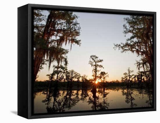 Caddo Lake at Sunrise, Marion Co., Texas, Usa-Larry Ditto-Framed Premier Image Canvas