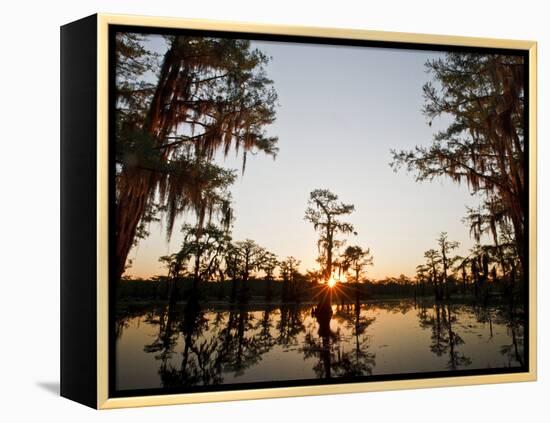 Caddo Lake at Sunrise, Marion Co., Texas, Usa-Larry Ditto-Framed Premier Image Canvas