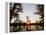 Caddo Lake at Sunrise, Marion Co., Texas, Usa-Larry Ditto-Framed Premier Image Canvas