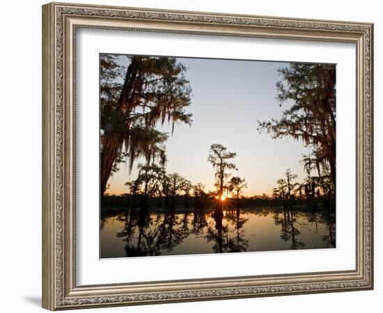 Caddo Lake at Sunrise, Marion Co., Texas, Usa-Larry Ditto-Framed Photographic Print