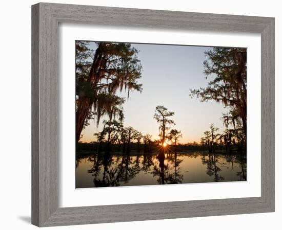 Caddo Lake at Sunrise, Marion Co., Texas, Usa-Larry Ditto-Framed Photographic Print