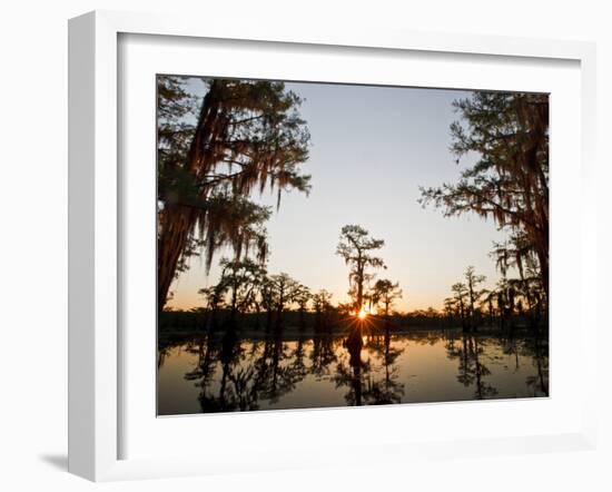 Caddo Lake at Sunrise, Marion Co., Texas, Usa-Larry Ditto-Framed Photographic Print