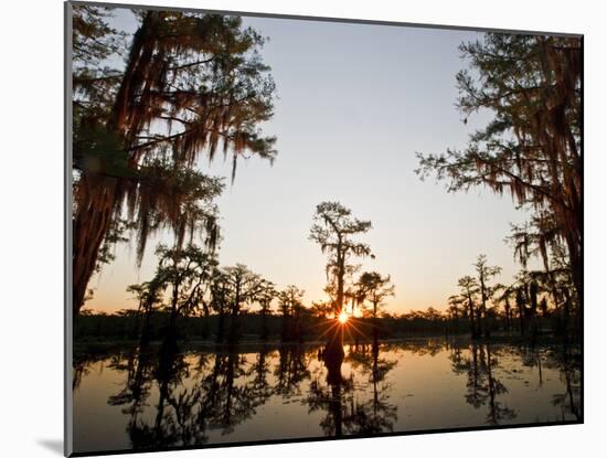 Caddo Lake at Sunrise, Marion Co., Texas, Usa-Larry Ditto-Mounted Photographic Print