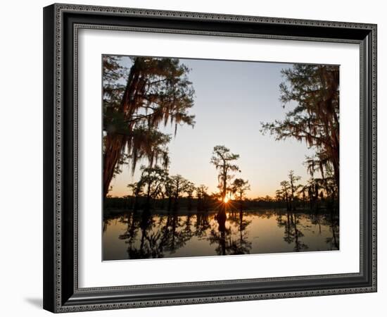 Caddo Lake at Sunrise, Marion Co., Texas, Usa-Larry Ditto-Framed Photographic Print