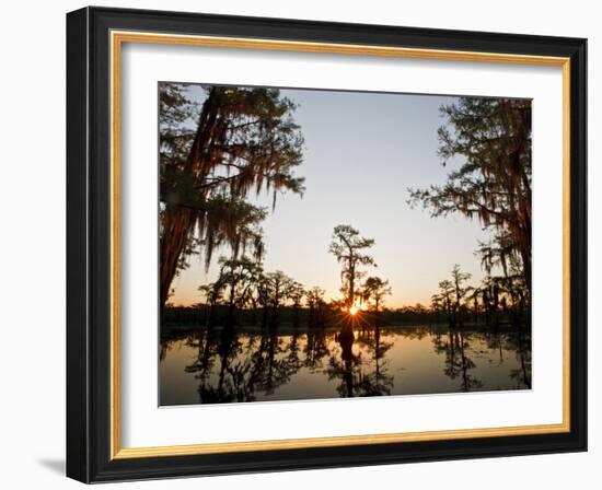 Caddo Lake at Sunrise, Marion Co., Texas, Usa-Larry Ditto-Framed Photographic Print