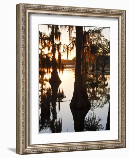 Caddo Lake at Sunrise, Marion Co., Texas, Usa-Larry Ditto-Framed Photographic Print