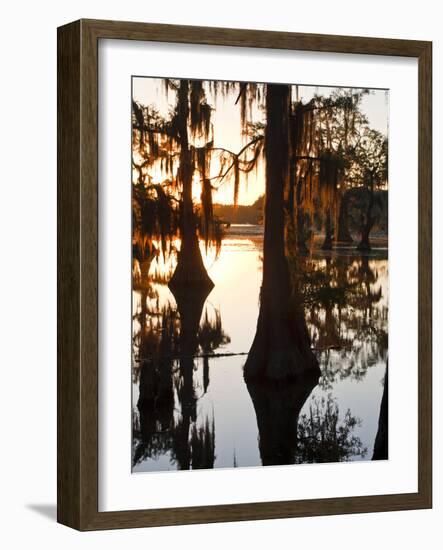 Caddo Lake at Sunrise, Marion Co., Texas, Usa-Larry Ditto-Framed Photographic Print