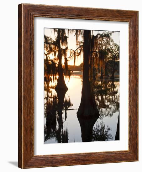 Caddo Lake at Sunrise, Marion Co., Texas, Usa-Larry Ditto-Framed Photographic Print