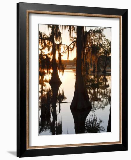 Caddo Lake at Sunrise, Marion Co., Texas, Usa-Larry Ditto-Framed Photographic Print