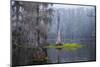 Caddo Lake morning-Larry Ditto-Mounted Photographic Print