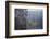 Caddo Lake morning-Larry Ditto-Framed Photographic Print