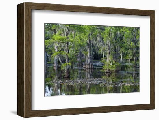 Caddo Lake, Texas, United States of America, North America-Kav Dadfar-Framed Photographic Print