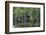 Caddo Lake, Texas, United States of America, North America-Kav Dadfar-Framed Photographic Print